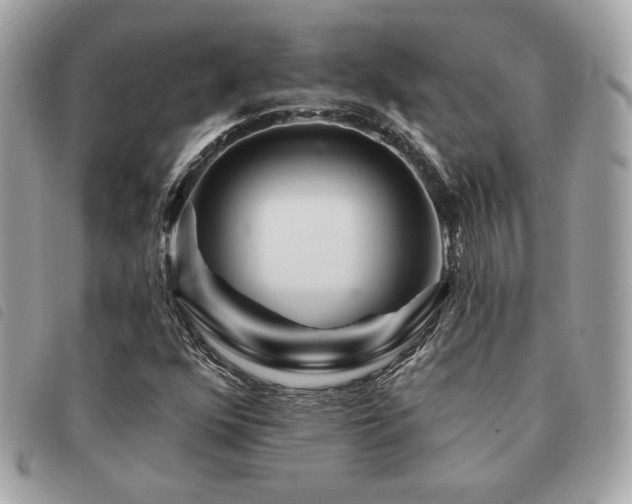 X0000091531352200708171211