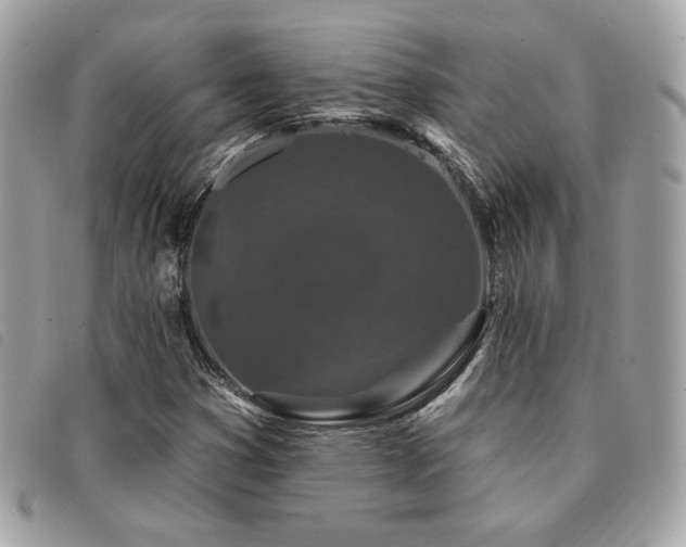 X0000091531353200708171211