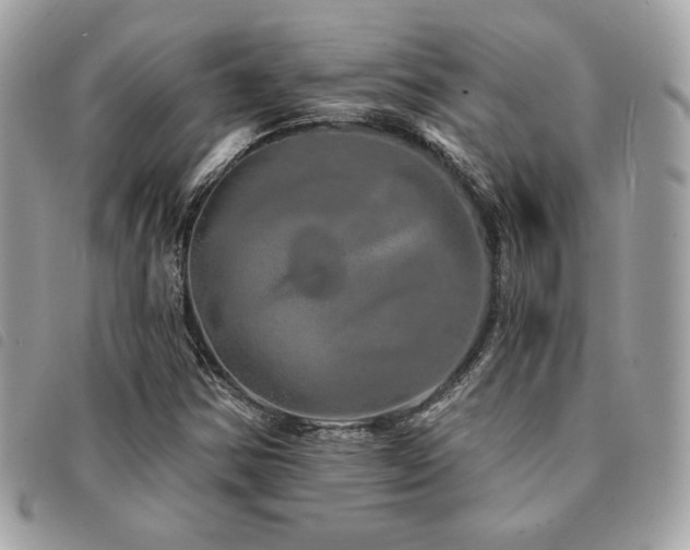X0000091531354200708171211