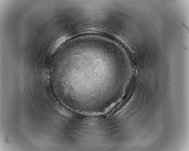 X0000091531355200708171211