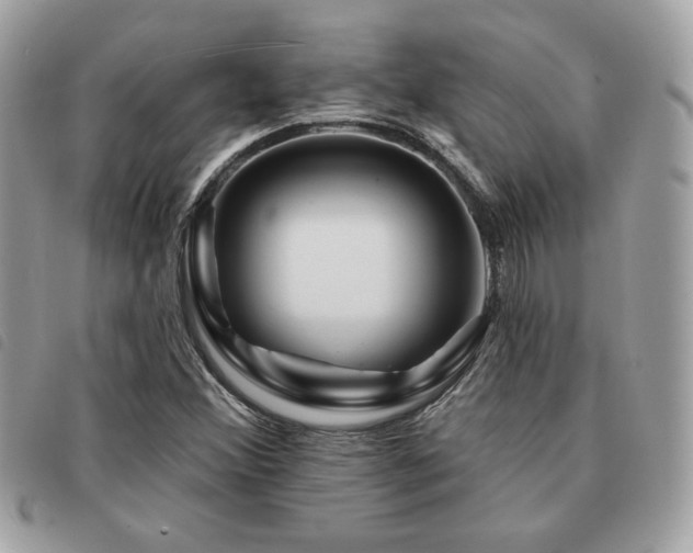 X0000091531356200708171211