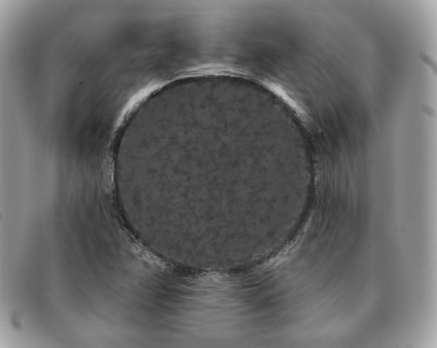 X0000091531358200708171211
