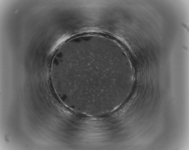 X0000091531359200708171211