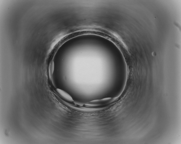 X0000091531360200708171211