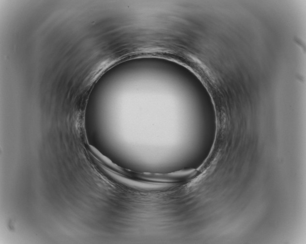 X0000091531361200708171211