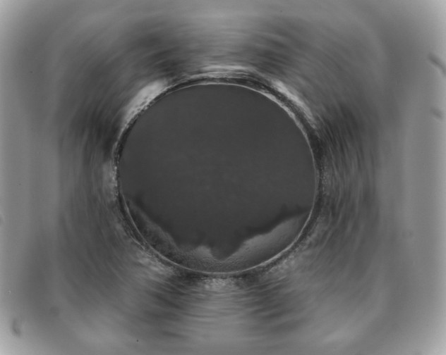 X0000091531362200708171211