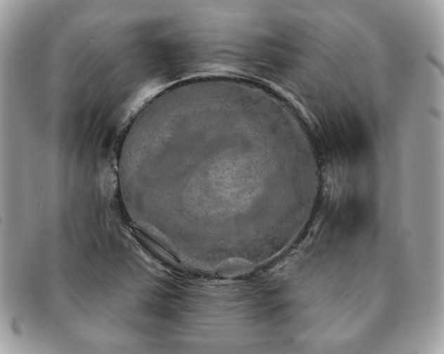X0000091531363200708171211