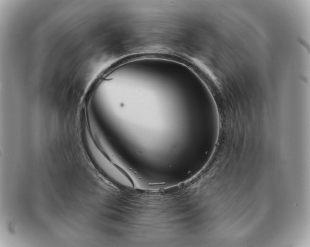 X0000091531364200708171211