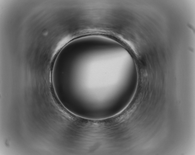 X0000091531365200708171211