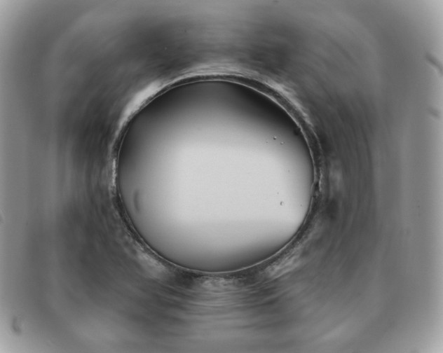 X0000091531366200708171211
