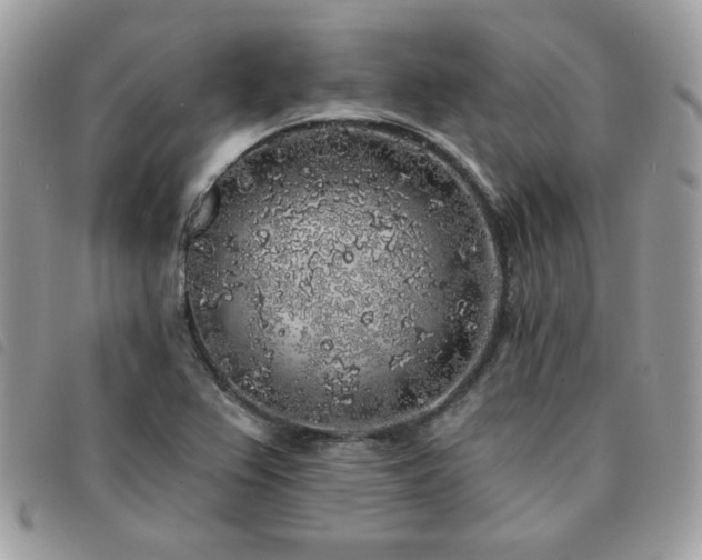 X0000091531367200708171211