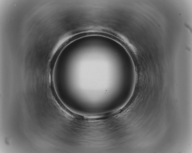 X0000091531368200708171211