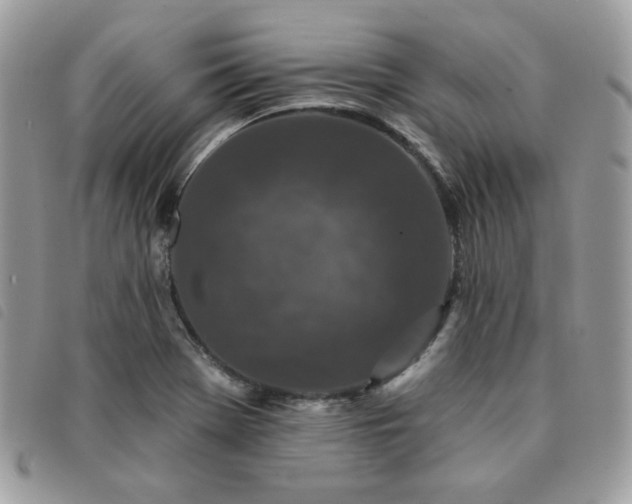 X0000091531369200708171211