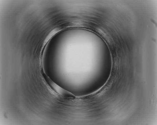 X0000091531370200708171211