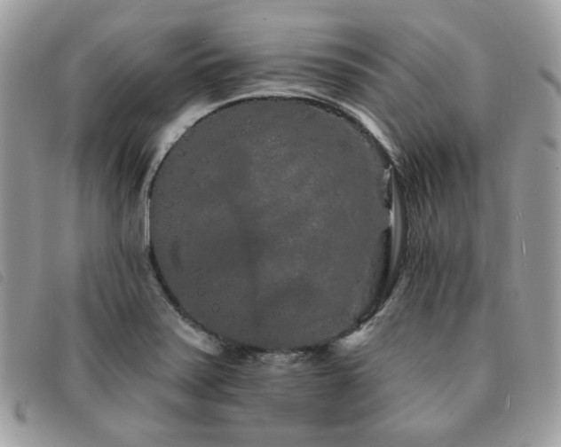X0000091531371200708171211