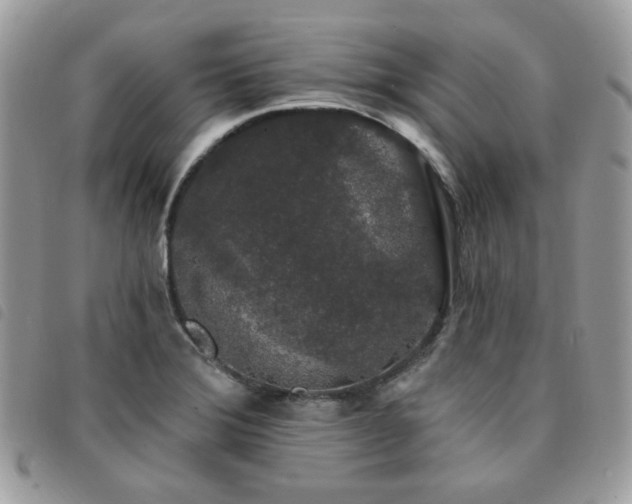 X0000091531372200708171211
