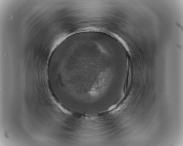 X0000091531373200708171211
