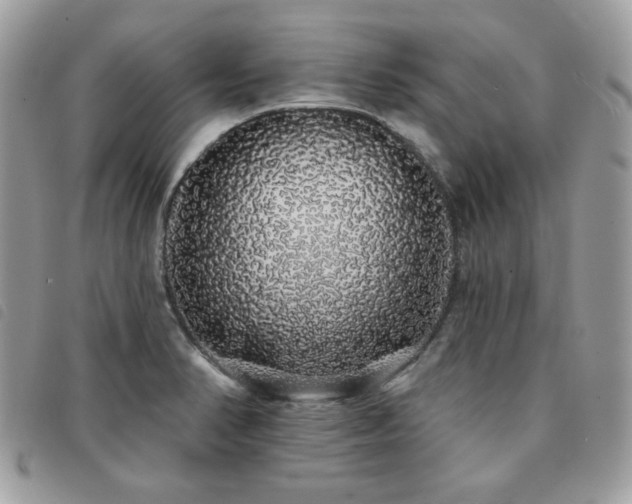 X0000091531374200708171211