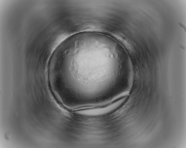 X0000091531375200708171211