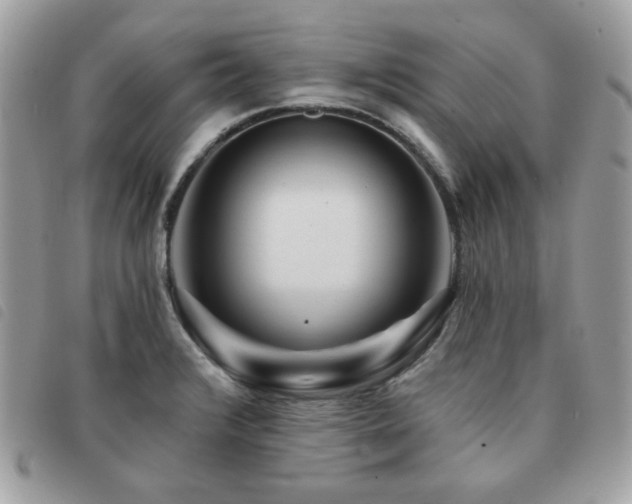 X0000091531376200708171211