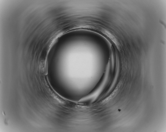 X0000091531377200708171211