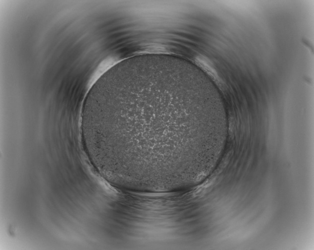X0000091531378200708171211