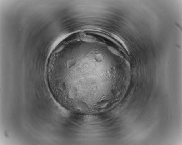 X0000091531379200708171211