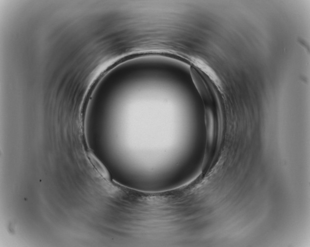 X0000091531380200708171211