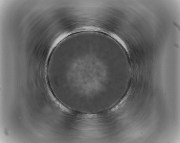 X0000091531381200708171211