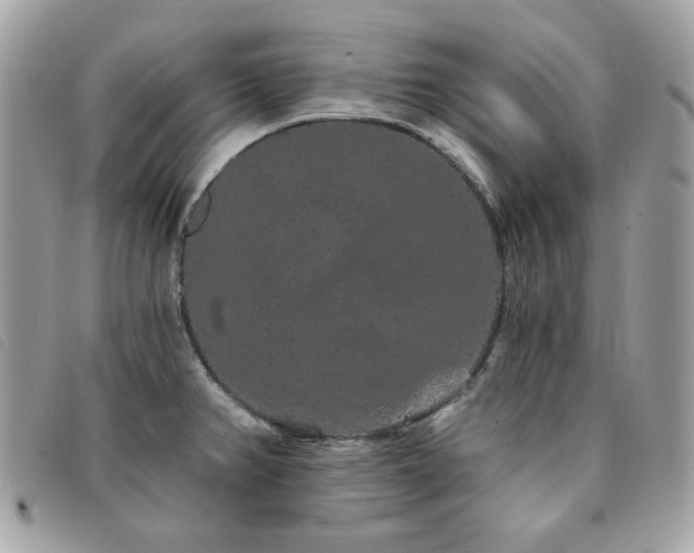 X0000091531382200708171211
