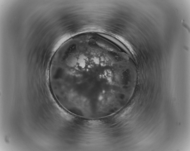 X0000091531383200708171211