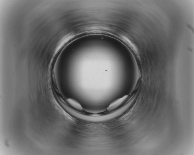 X0000091531384200708171211
