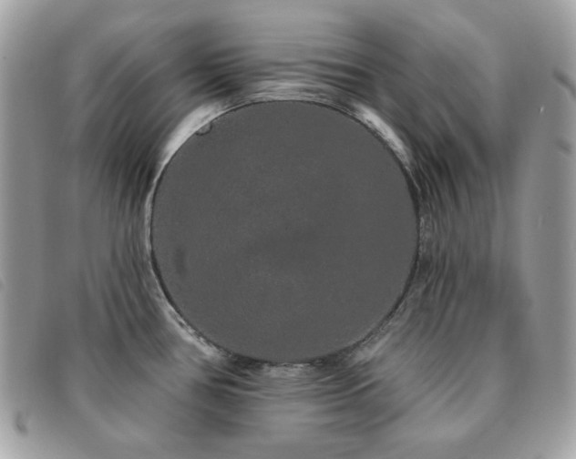 X0000091531386200708171211