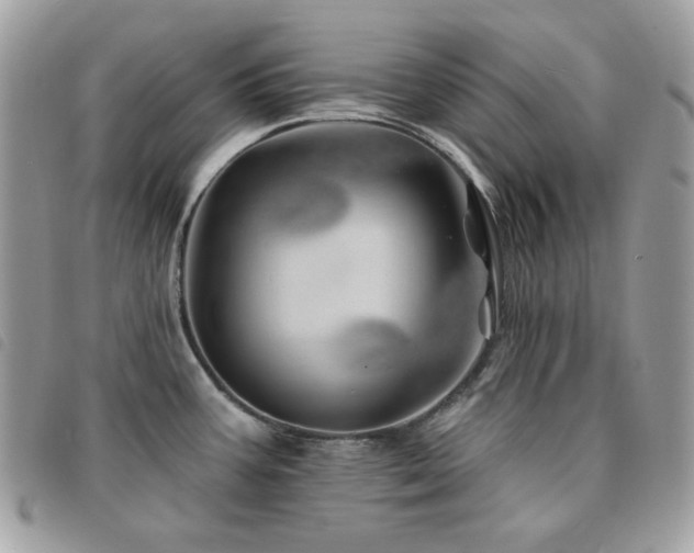 X0000091531387200708171211