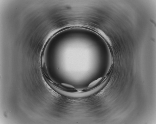 X0000091531388200708171211