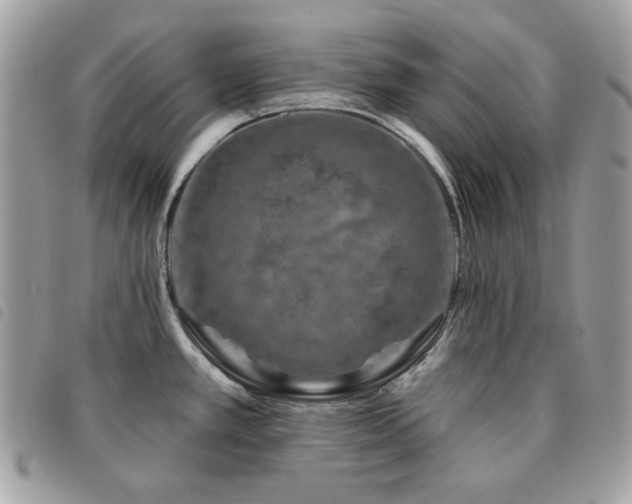 X0000091531389200708171211