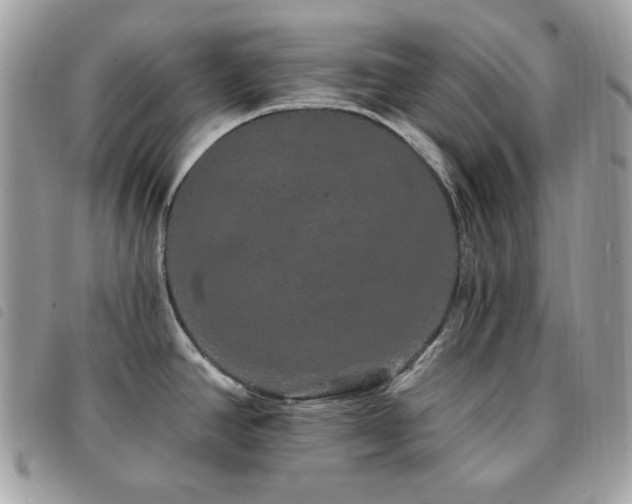 X0000091531390200708171211