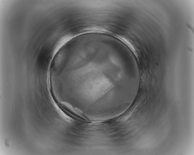 X0000091531391200708171211