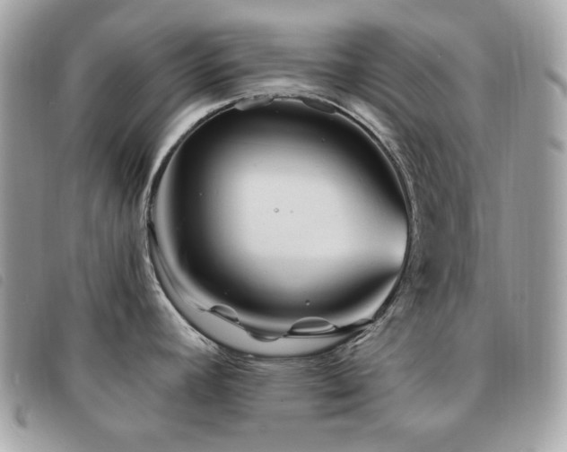 X0000091531392200708171211