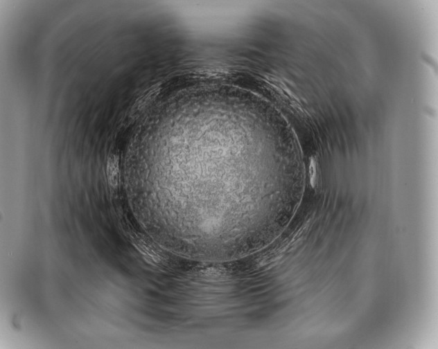 X0000091531395200708171210