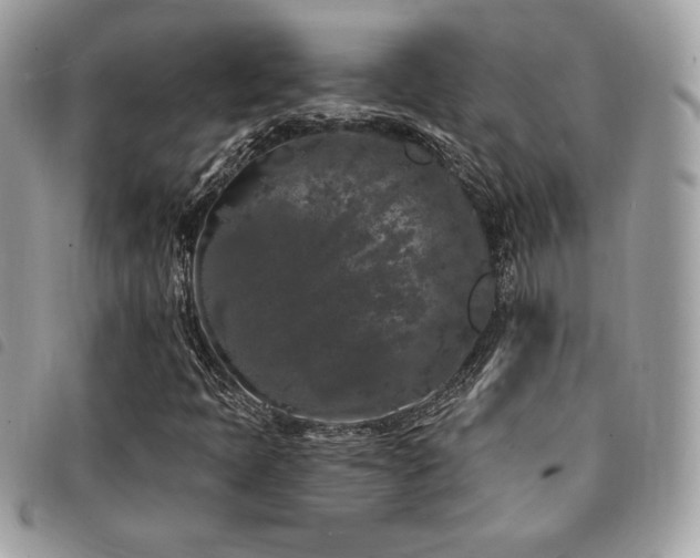 X0000091531397200708171210