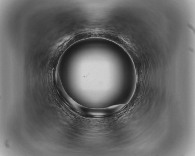 X0000091531398200708171210