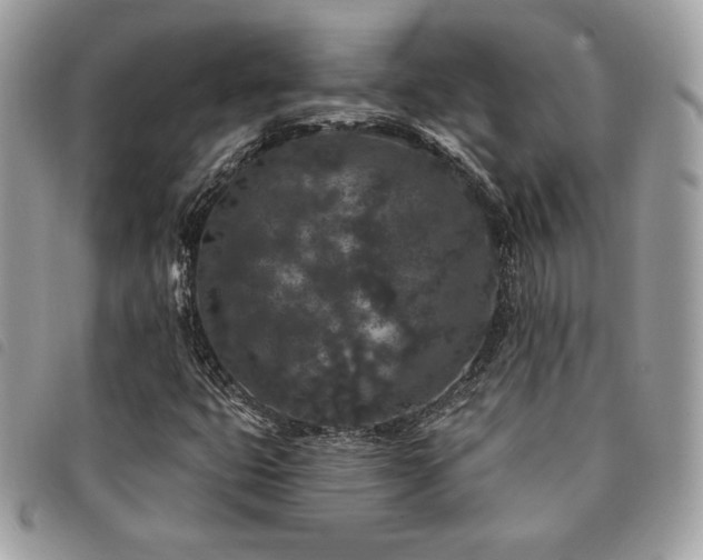 X0000091531399200708171210