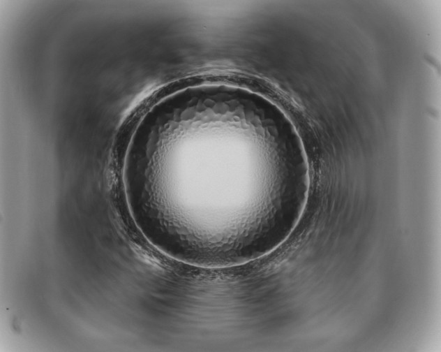 X0000091531400200708171210