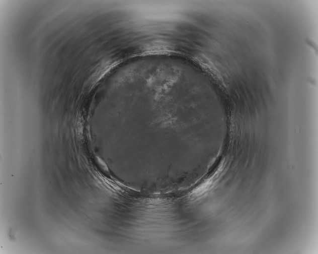 X0000091531401200708171210