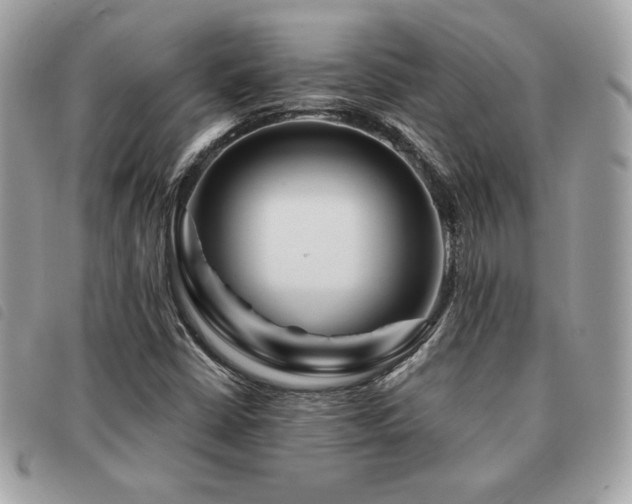 X0000091531402200708171210