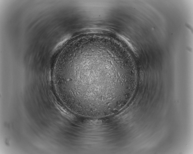X0000091531403200708171210