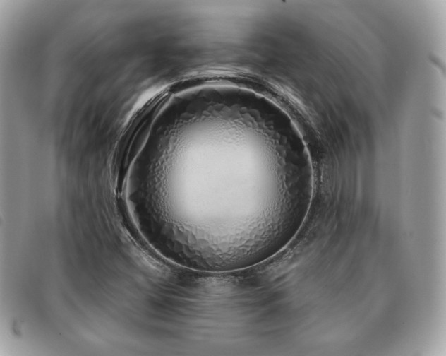 X0000091531404200708171210