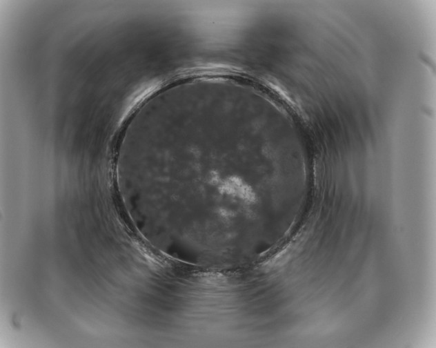 X0000091531405200708171210