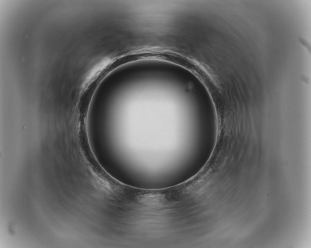 X0000091531406200708171210